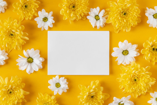 1581616 (a): :2560x1707